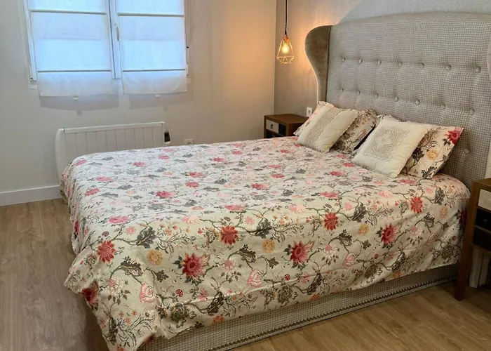 Reformado Centro Con Terraza *